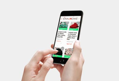 EINAHome.ro project