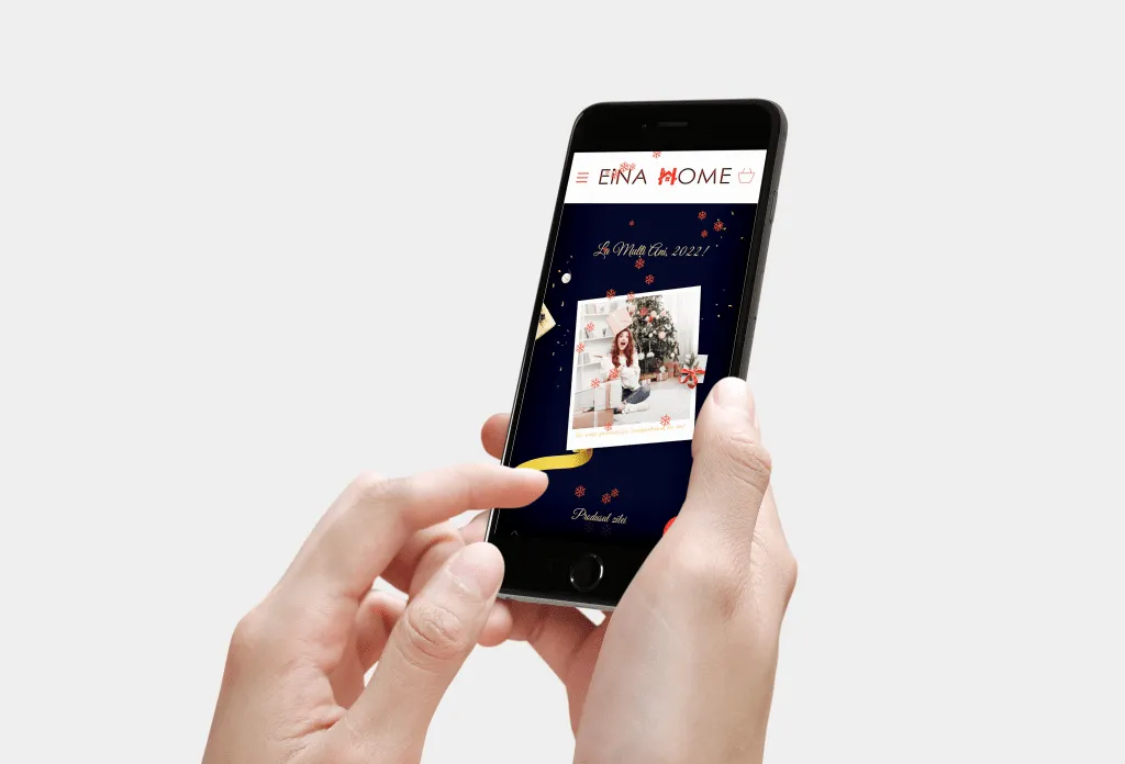 Proiect EINAHome.ro