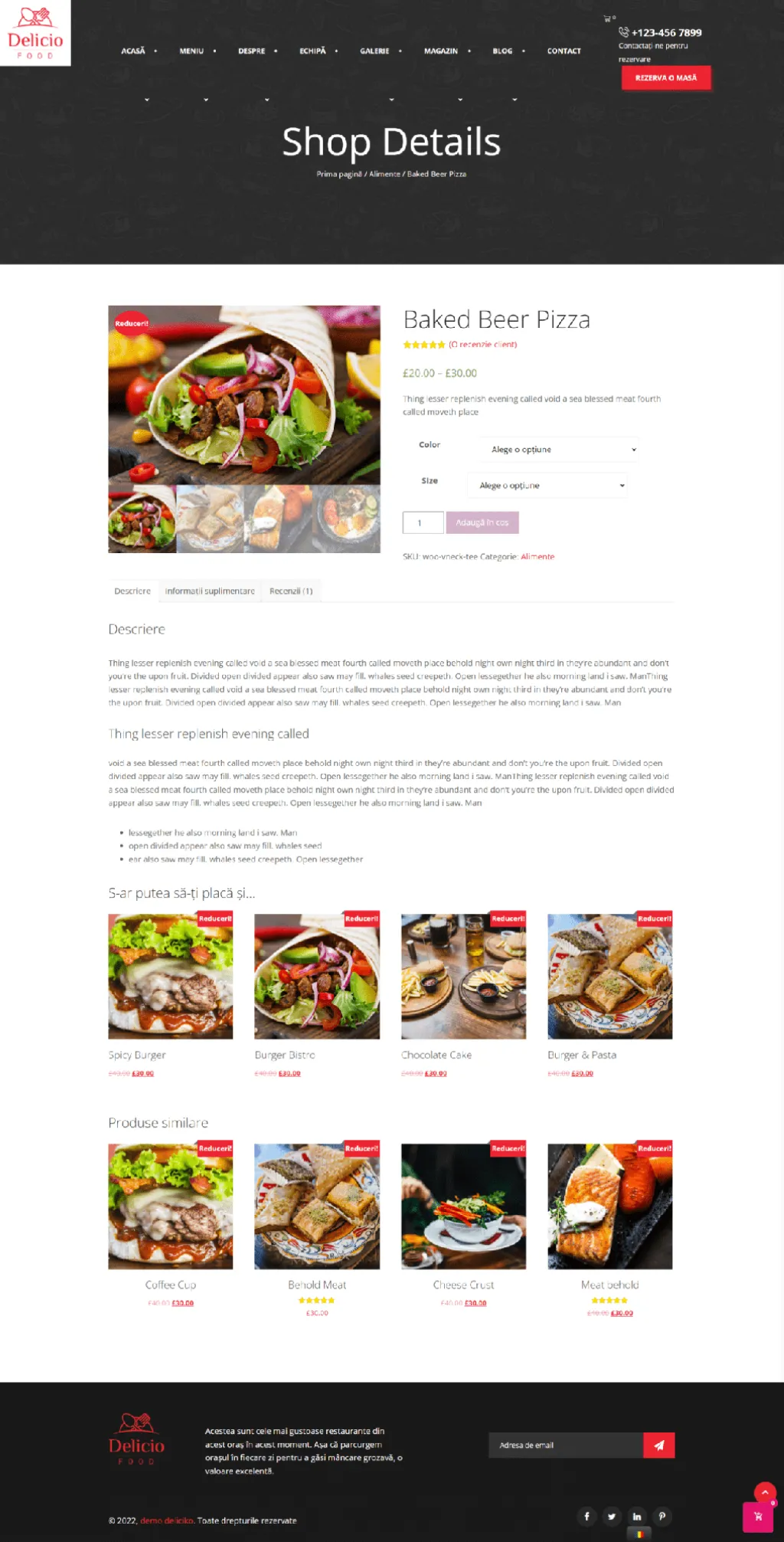 demo restaurant deliciko magazin