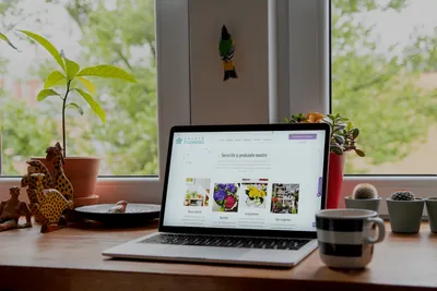 CryptoFlowers project