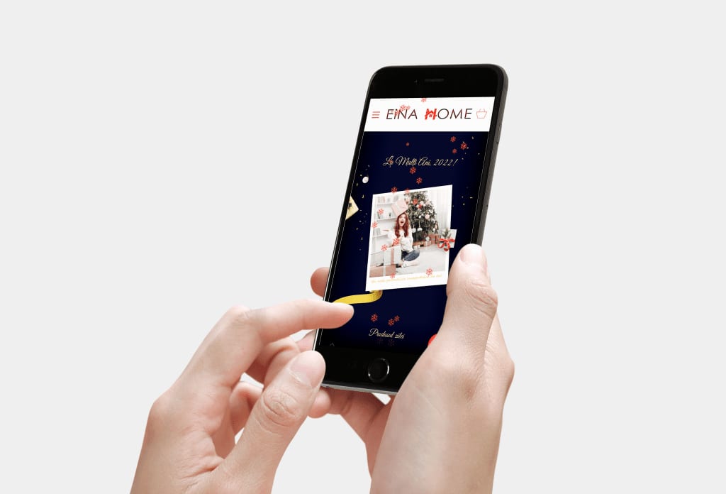 EINAHome.ro project